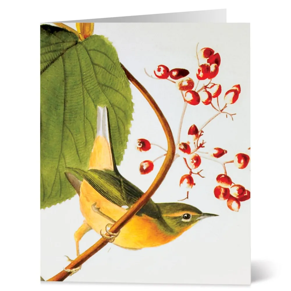 Audubon Birds Notecards*The Met Store Clearance