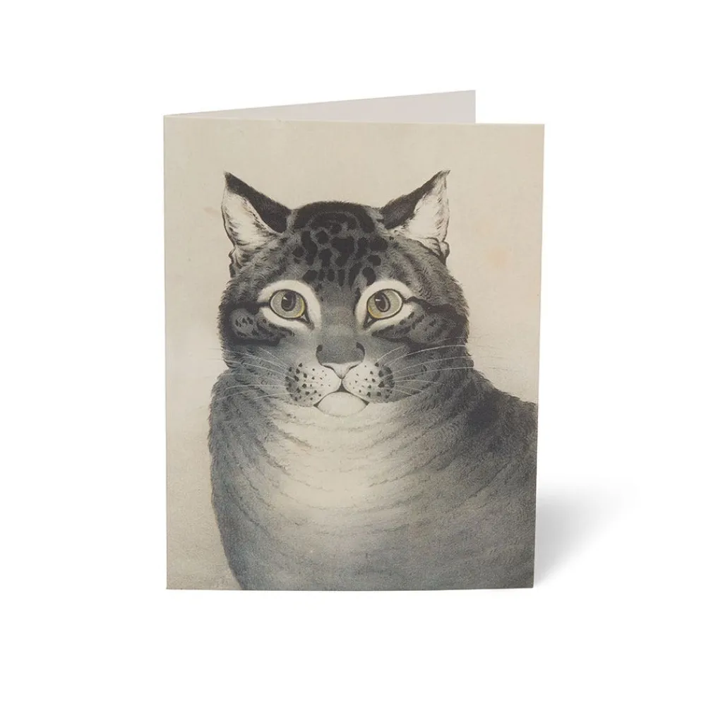 Cats of The Met Notecards*The Met Store Cheap