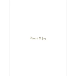 Earle: Blue Doves of Peace Holiday Cards*The Met Store New