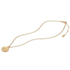 Etruscan Lion Pendant Necklace*The Met Store Shop