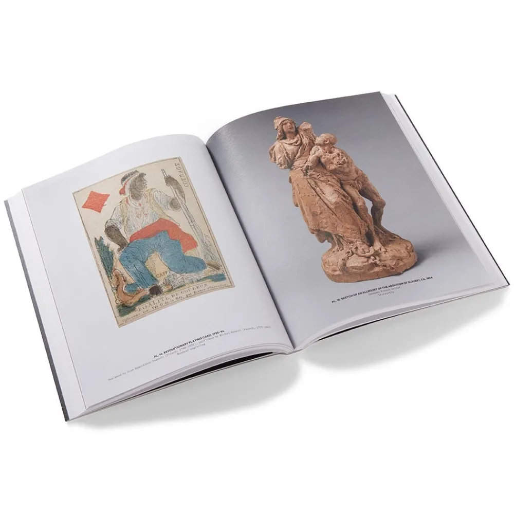 Fictions of Emancipation: Carpeaux's Why Born Enslaved! Reconsidered*The Met Store Best Sale