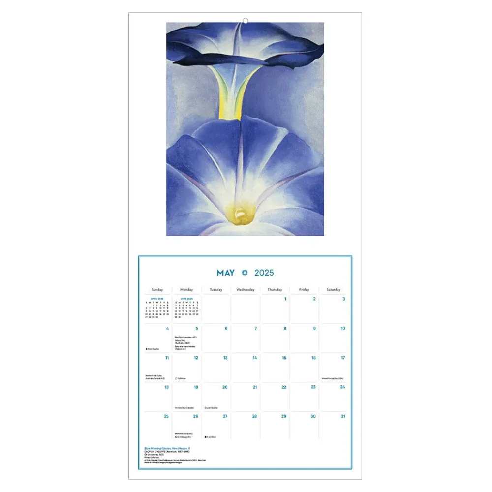 Georgia O'Keeffe Wall Calendar 2025*The Met Store Cheap