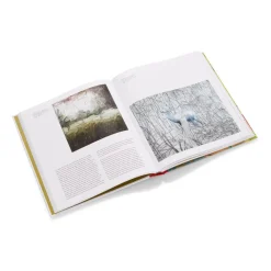 Gerhard Richter: Painting After All*The Met Store Discount
