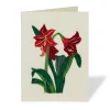 Hybrid Amaryllis Quilled Holiday Card*The Met Store Best