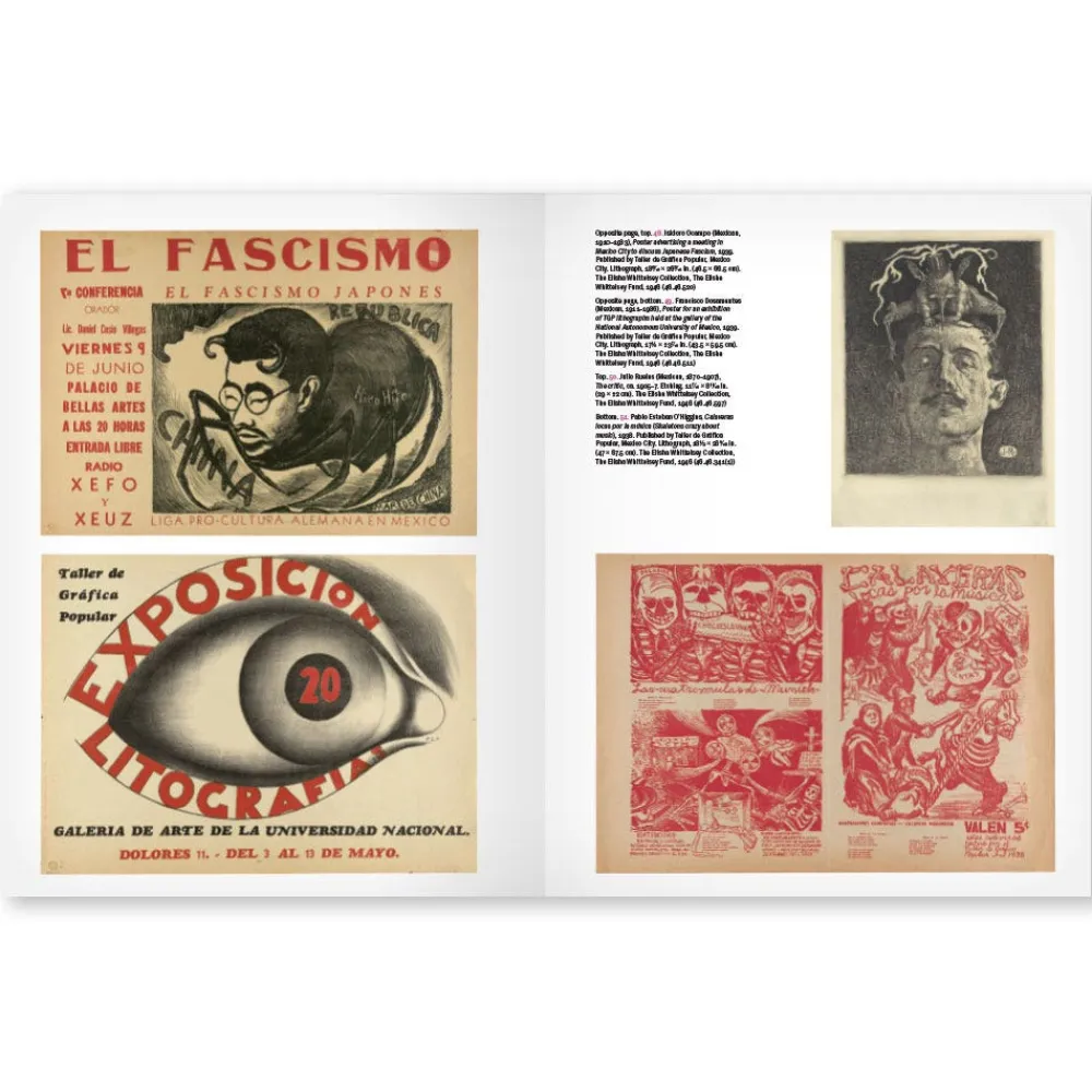 Mexican Prints at the Vanguard*The Met Store Sale