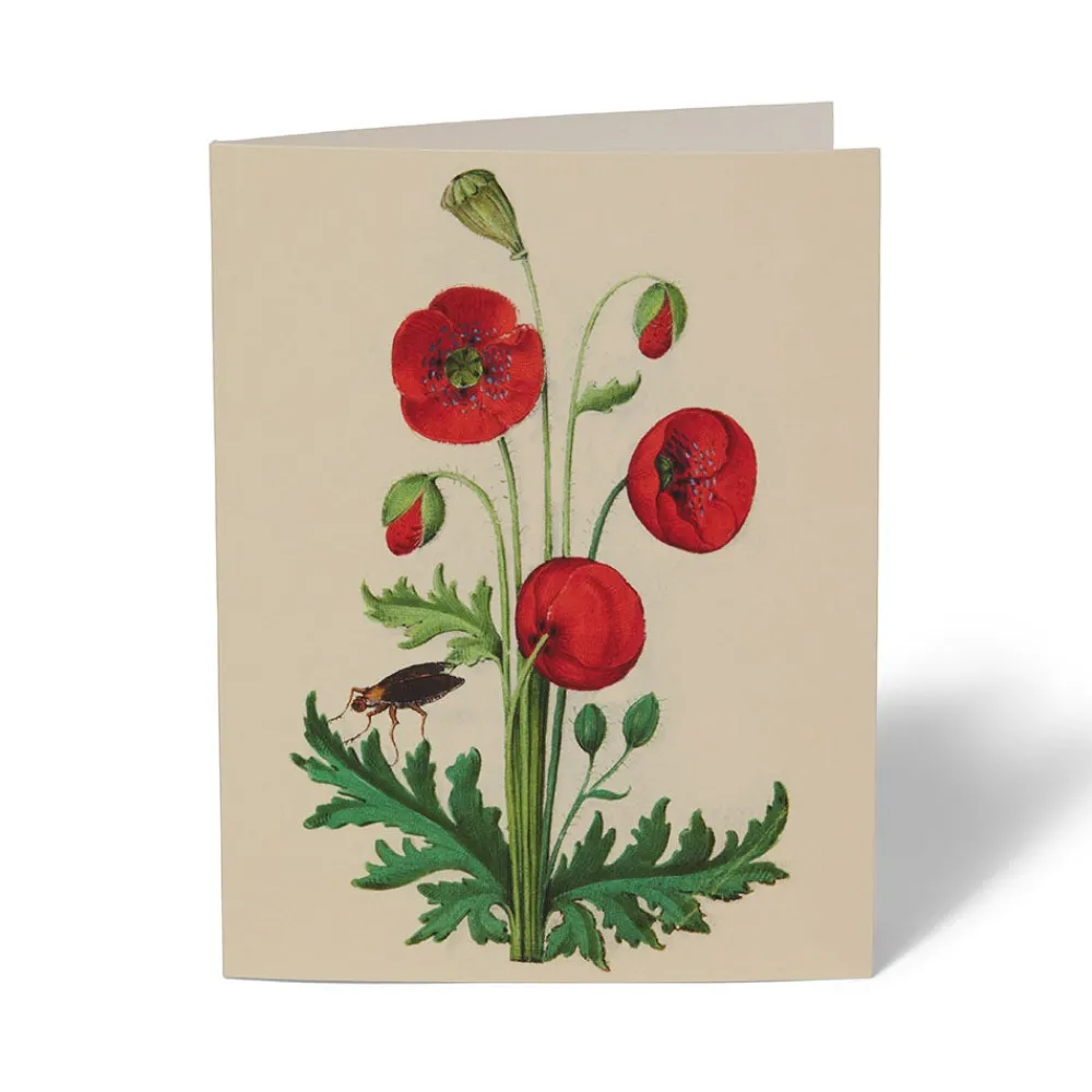 The Met Cloisters Garden Notecards*The Met Store Flash Sale